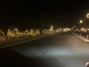2021 Coe Lake Christmas Tree Project image 